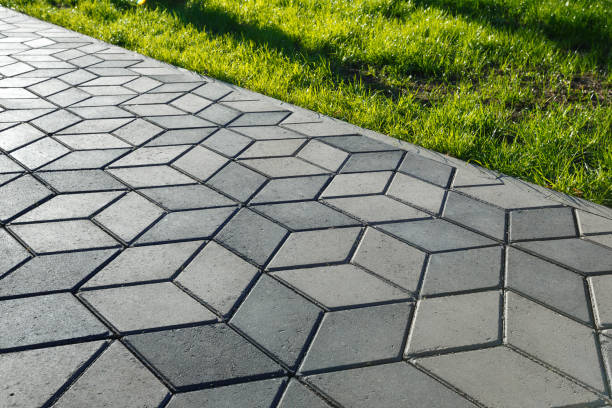 Best Driveway Paving Company  in Olivet, TN