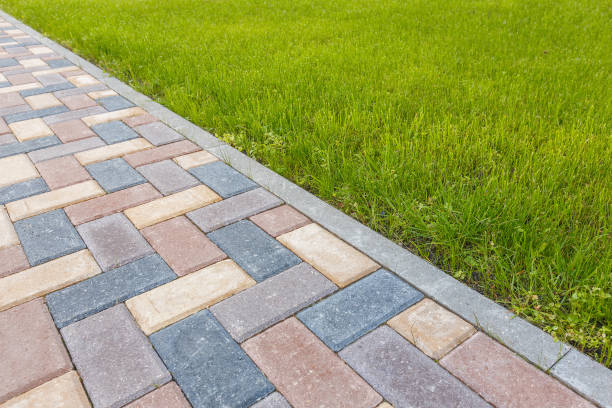 Best Driveway Paving Contractor  in Olivet, TN